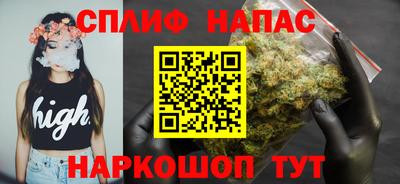 прущие грибы Можга