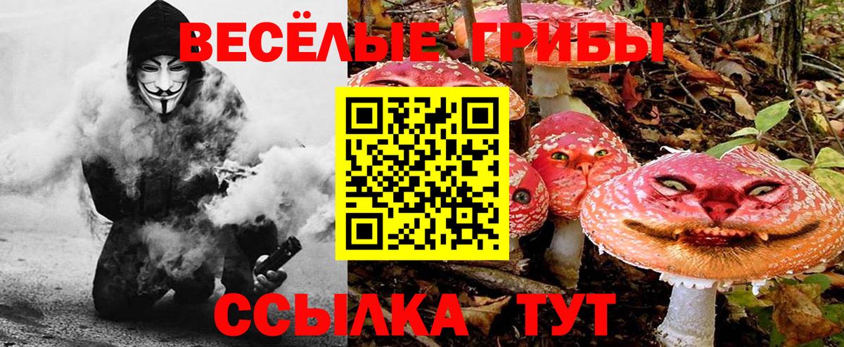 Галлюциногенные грибы Psilocybe  Вход с VPN  Углич 