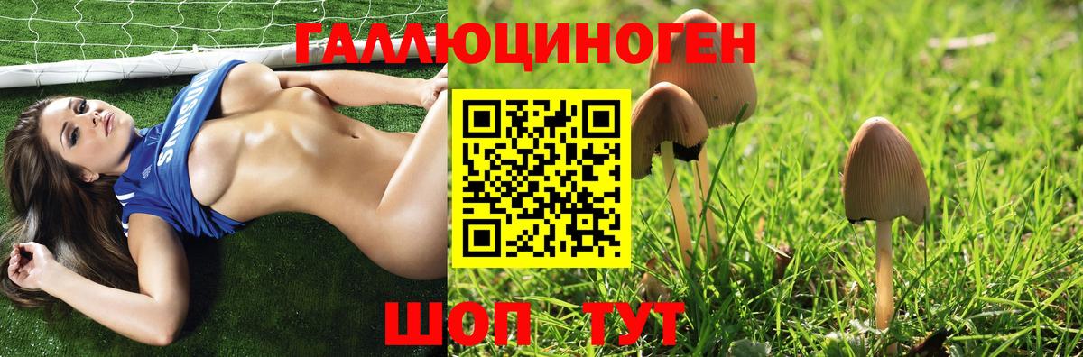 Псилоцибиновые грибы Psilocybe Углич